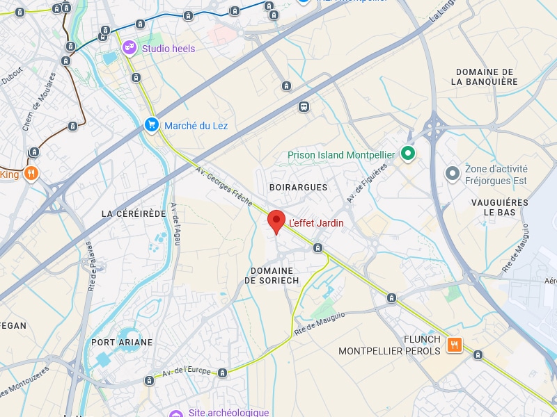 Carte Montpellier : L'effet Jardin, Marché du Lez et Tramway Carte de Montpellier localisant 'L'effet Jardin' près de Boirargues, La Céréirède, Marché du Lez et Port Ariane.