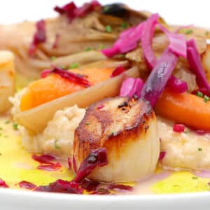 Gros plan sur une coquille Saint-Jacques parfaitement poêlée, servie sur une purée, des carottes et des lanières d'oignons rouges vifs.
